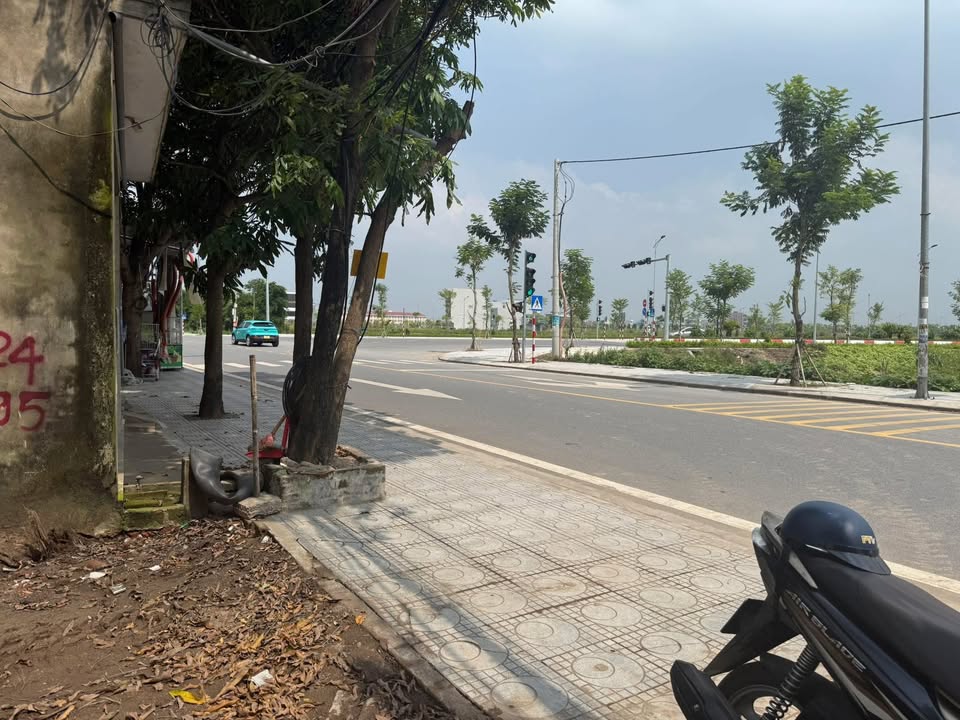 Đất mặt đường Vũ Hữu Lợi, Nam Định 175m² giá 6.25 tỷ - Đầu tư sinh lời cao!