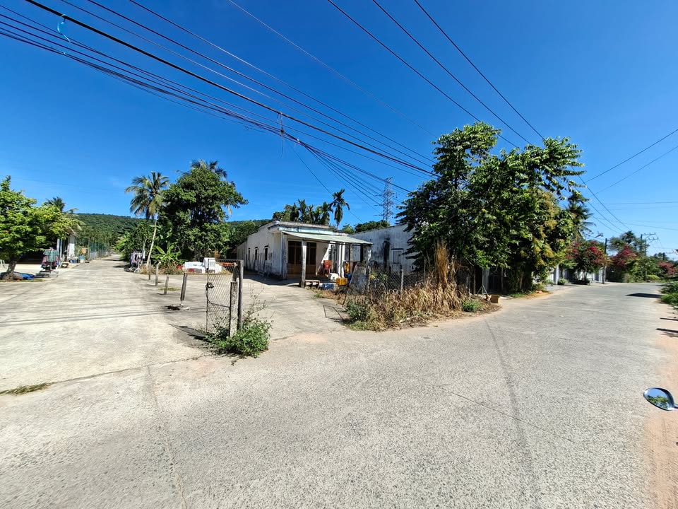 Đất mặt đường Suối Tiên 1000m² giá 5 tỷ - Tiềm năng phát triển vượt bậc!