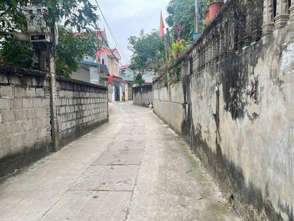 Đất nền Mai Thành, Mai Pha 400m² giá 3.6 tỷ - Đầu tư sinh lời tiềm năng!