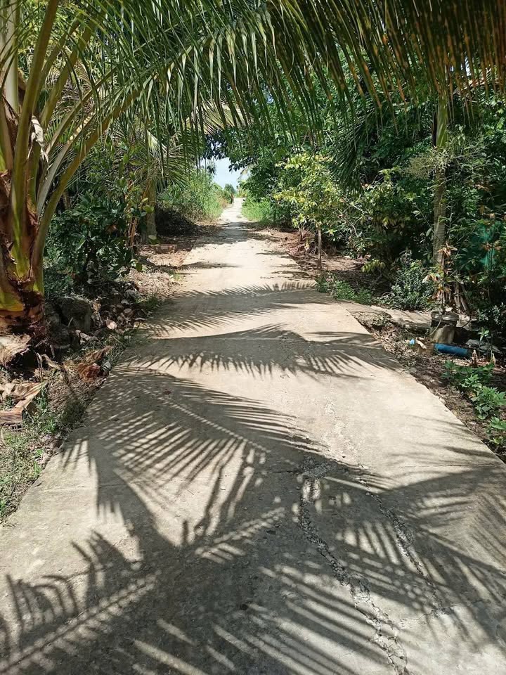 Đất farm Hiệp Hưng 57.000m² giá 7.695 tỷ - Tiềm năng đầu tư lớn!