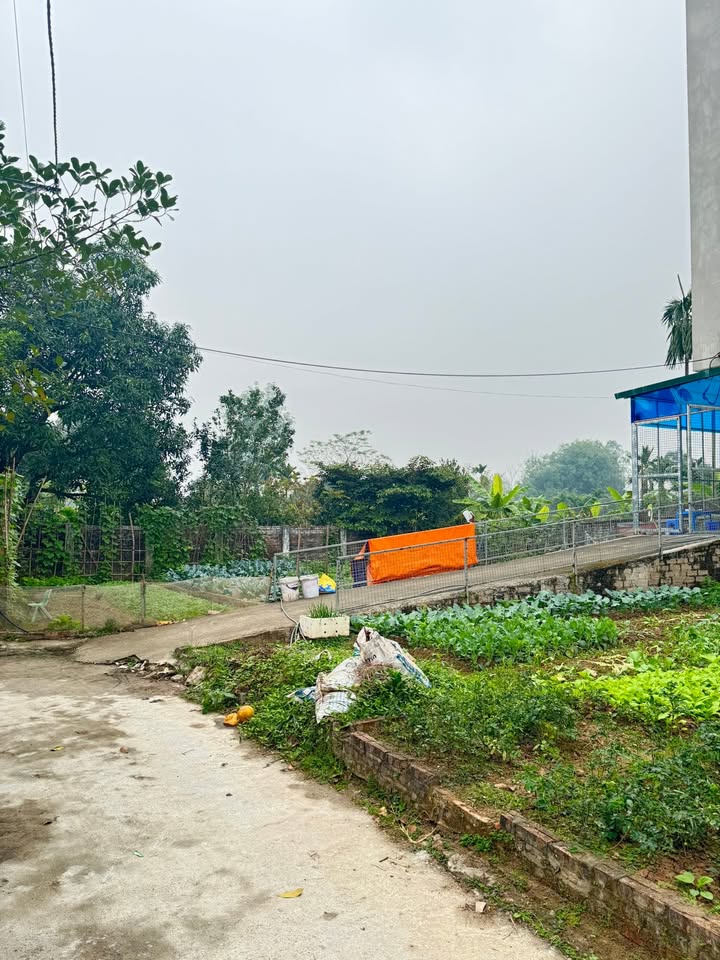 Đất nền Thọ Lộc - Phúc Thọ 46m² giá 1 tỷ - Đầu tư sinh lời ngay!