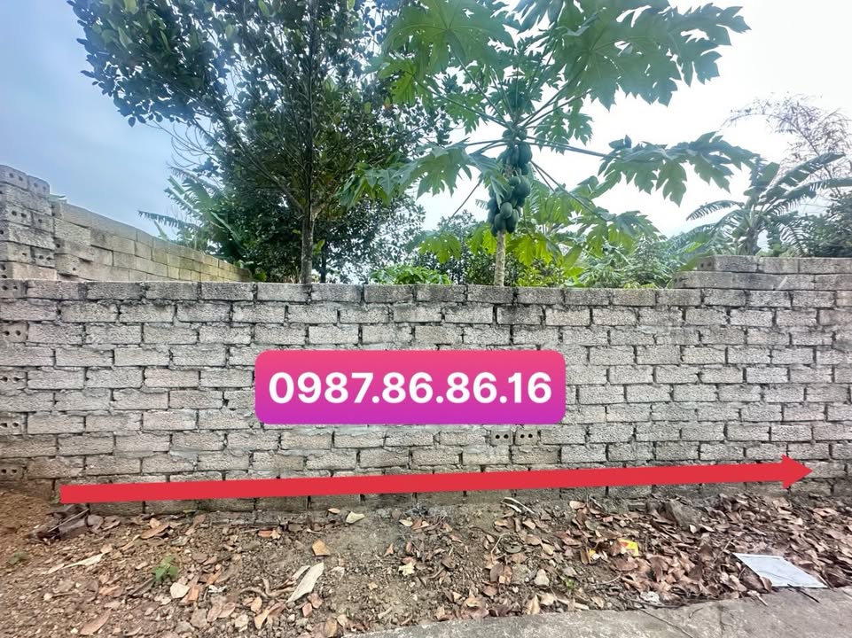 Đất nền 100m² tại Bình Yên, Thạch Thất chỉ 800 triệu - Vị trí đắc địa gần khu CNC Hòa Lạc!