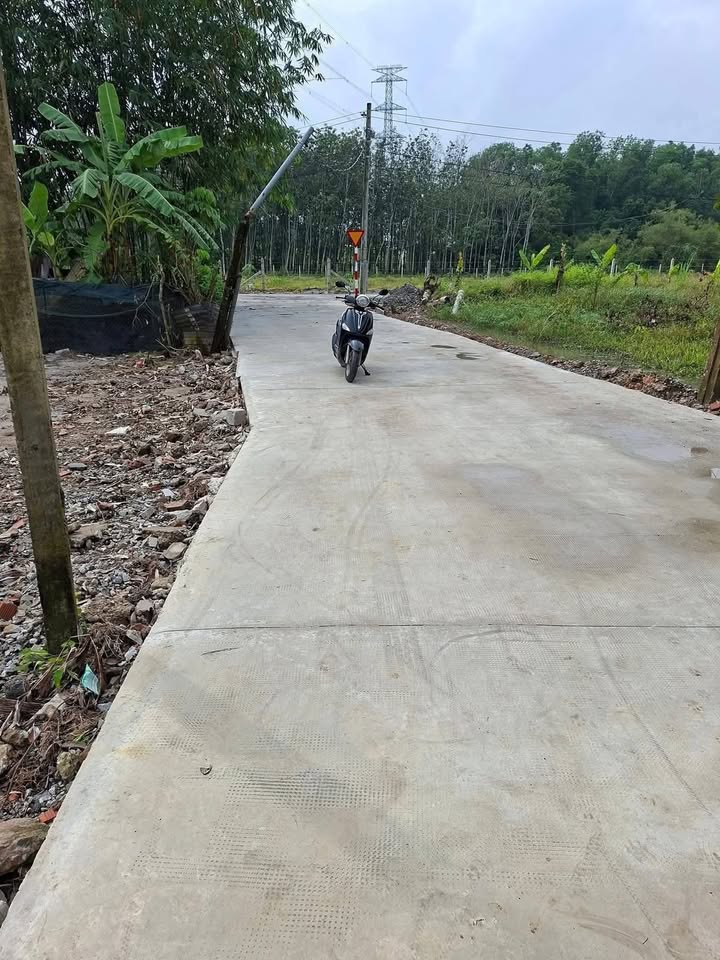 Đất nền Bến Cát - Phường Long Nguyên - 125m² giá 900 triệu - Sổ đỏ chính chủ!