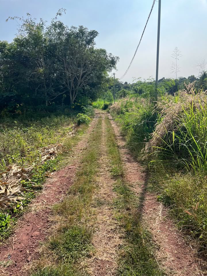 Đất nền Nghĩa Thành, Châu Đức 7000m² giá 3.7 tỷ - Vị trí thuận lợi cho nghỉ dưỡng!