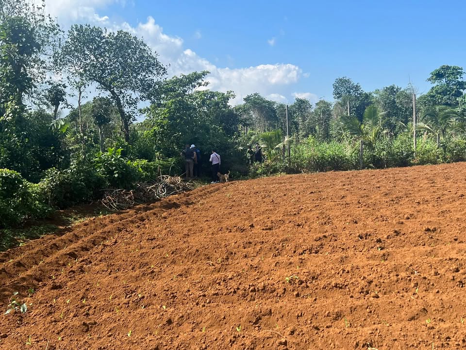 Đất thổ cư Cửa Tùng 999m² giá 1 triệu/m² - Cách biển chỉ 80m!