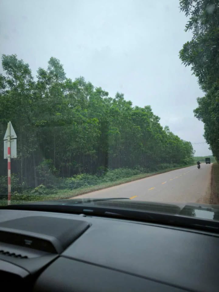 Đất Farm Cam Thủy Cam Lộ 2678m² - Mặt tiền đường nhựa, view hồ tuyệt đẹp