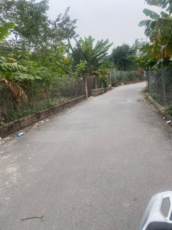 Đất Cổ Bi Gia Lâm 55m² giá 600 triệu - Lô góc, tiện xây dựng ngay!