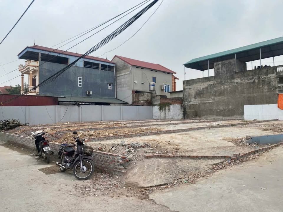 Đất thổ cư 85m² tại Đức Hậu, Thanh Lâm, Mê Linh - Giá chỉ 4.125 tỷ!