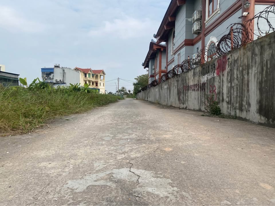 Đất đấu giá Hữu Bằng, Kiến Thụy 123,7m² chỉ 2 tỷ - Đầu tư sinh lời ngay!