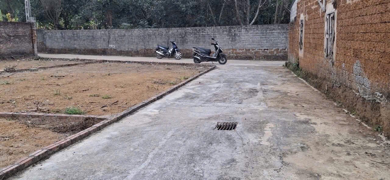 Đất nền Phúc Tiến 78m² giá nhỉnh 3 triệu - Cơ hội đầu tư tuyệt vời!