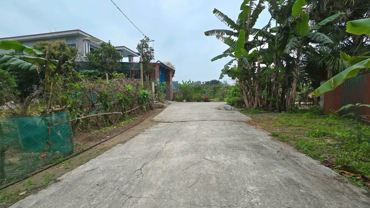 Đất TDP Văn Minh, Thạch Tân 185m² giá 1.3 tỷ - Đường rộng, gần trung tâm!