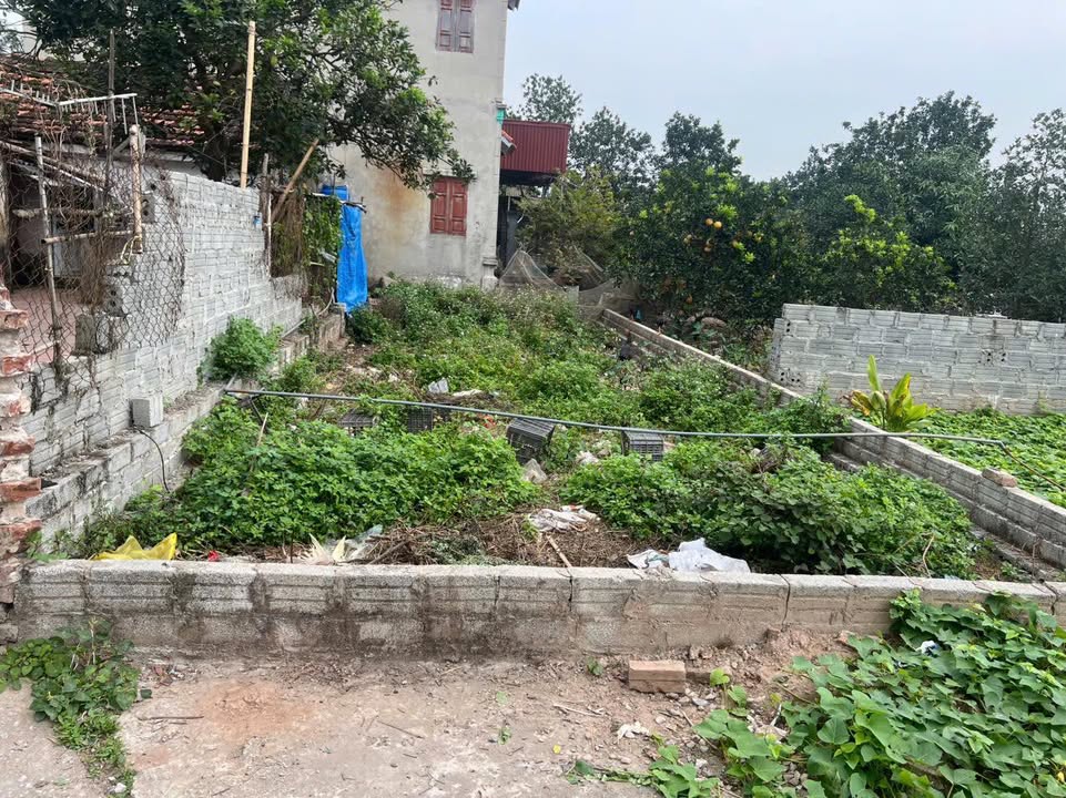 Đất nền Tân Minh Thường Tín 80m² giá 4 tỷ - Đầu tư sinh lời ngay!