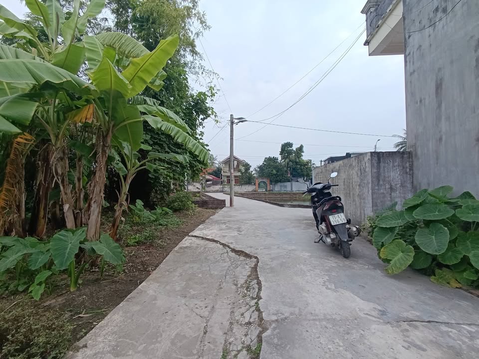 Đất nền Đồng Minh, Vĩnh Bảo 85m² giá 700 triệu - Diện tích lý tưởng cho đầu tư!