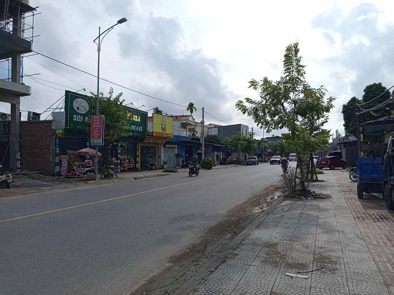 Đất nền đường Thiên Lôi, Lê Chân, Hải Phòng 253.4m² giá 14 tỷ - Đầu tư sinh lời ngay!