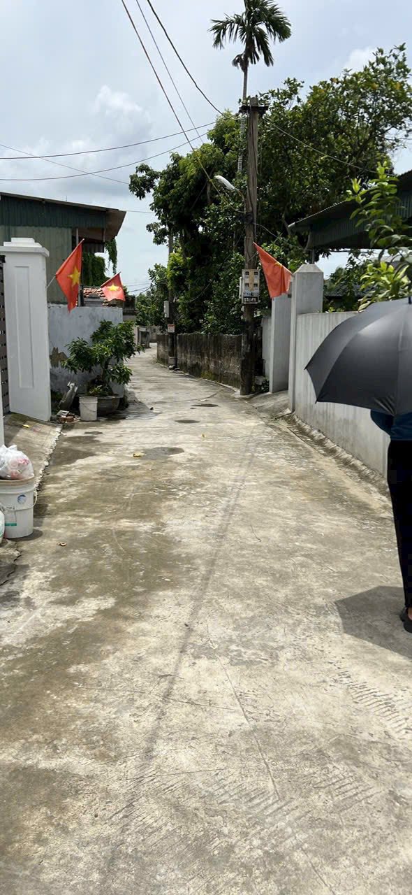 Đất nền Mạo Khê Đông Triều 85m² giá 850 triệu - Cơ hội đầu tư tuyệt vời!