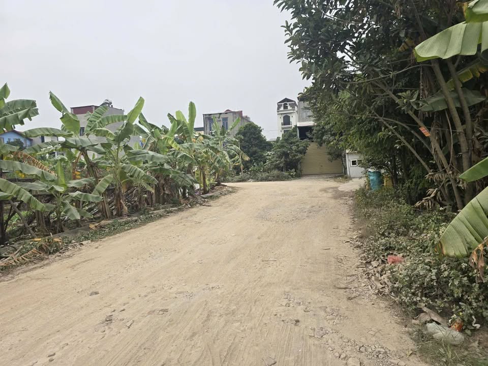 Đất nền giãn dân Xuân Ổ B, phường Võ Cường, Bắc Ninh 85m² giá 3 tỷ - Sổ đỏ chính chủ!