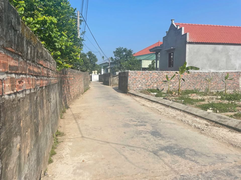 Đất thổ cư thôn 2, xã Chính Mỹ, Thủy Nguyên 74,4m² - Đầu tư sinh lời lâu dài!