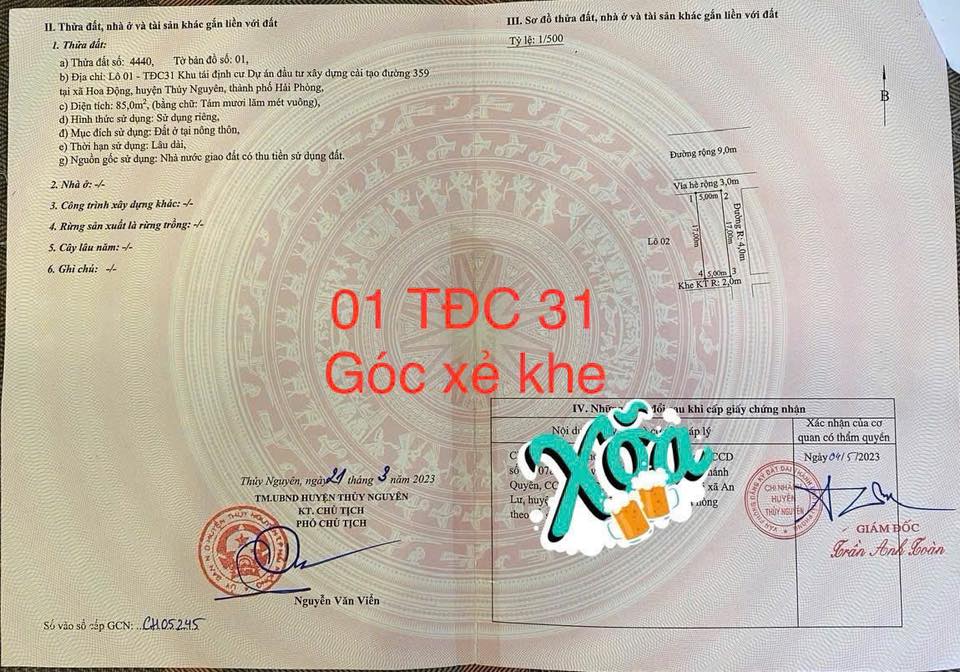 Đất nền lô góc Hoa Động 85m² giá chỉ 5.8 tỷ - Cơ hội đầu tư hiếm có!