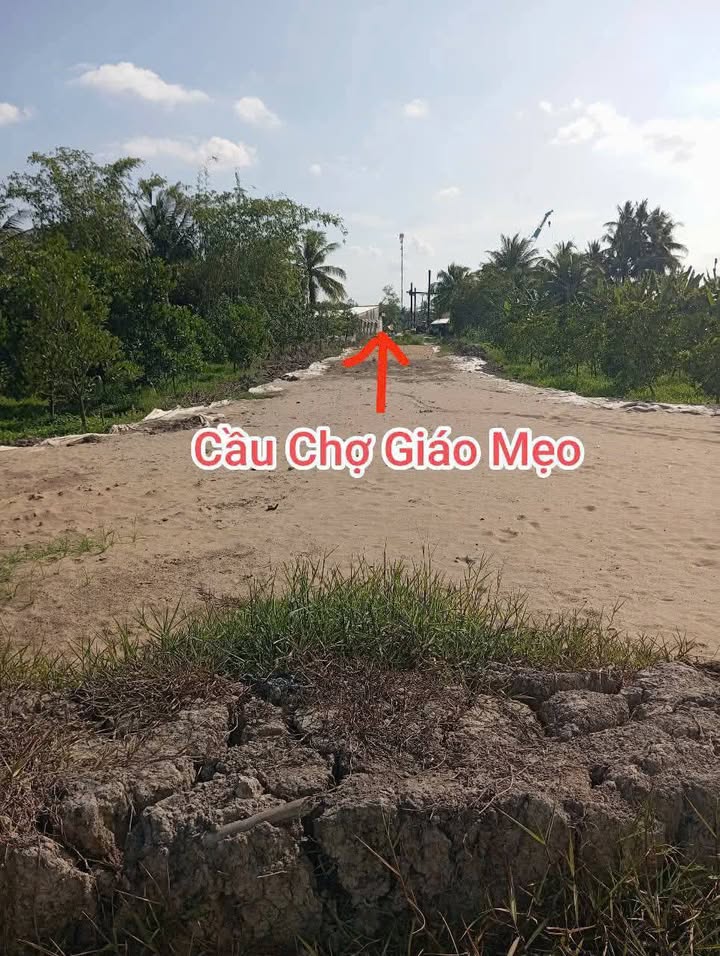 Đất nền Tân Phú, Tam Bình, Vĩnh Long 128m² giá 390 triệu - Cơ hội đầu tư hấp dẫn!