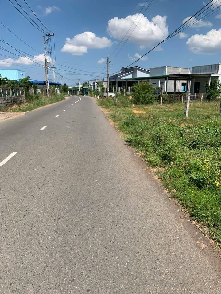 Đất thổ cư 158m² tại Hàm Thắng, Bình Thuận - Giá chỉ 1 tỷ, đầu tư sinh lời ngay!