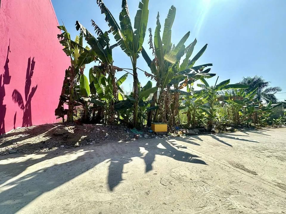 Đất nền khu Đại Lộc Phát, Bình Thủy, Cần Thơ - Giá từ 1.1 tỷ, đầu tư sinh lời!