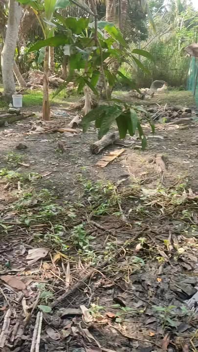 Đất nền Trường Long Phong Điền 4000m² giá 1.55 tỷ - Pháp lý rõ ràng, vị trí đẹp!