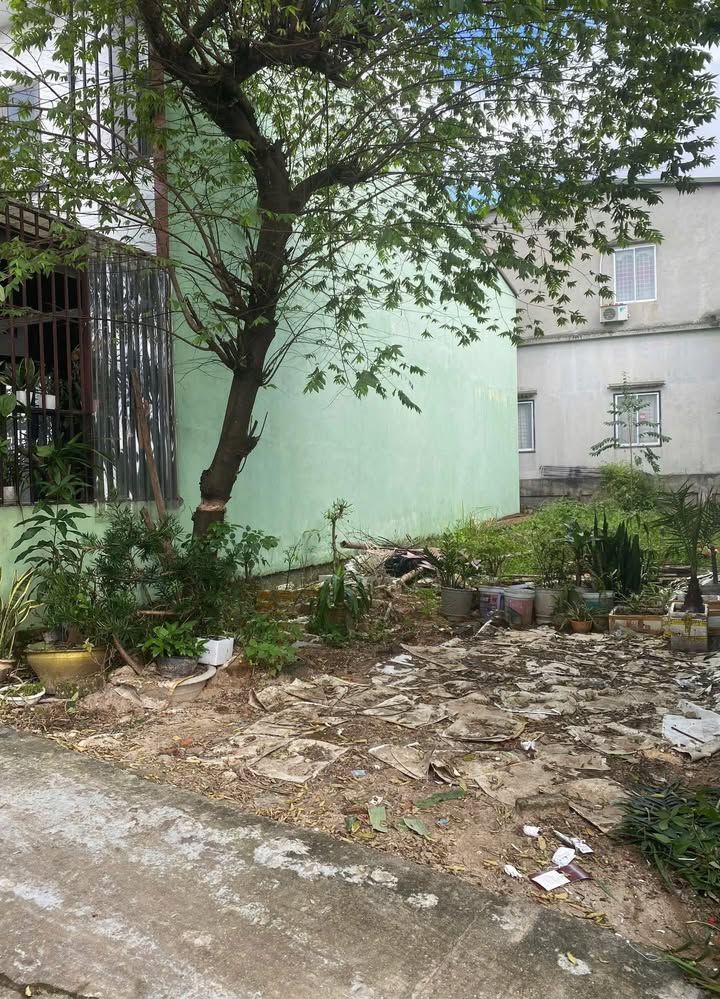 Đất nền Đặng Thái Thân, Đông Hà 90m² giá chỉ 8xx triệu - Giao thông thuận tiện!