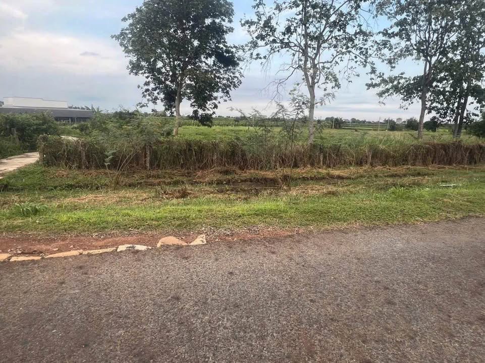 Đất nền 16000m² đường Đại Lộc, Bình Thuận - Cơ hội đầu tư tuyệt vời!