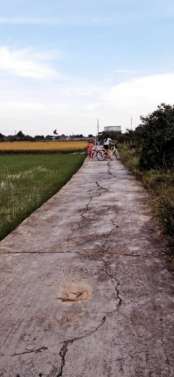 Đất nền 5 sào 8 cây trồng phường Hàm Thắng - Mặt tiền đường bê tông ô tô, giá thỏa thuận!