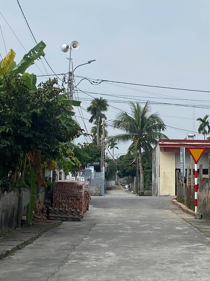 Đất nền Nhân Hoà, Vĩnh Bảo 50m² giá chỉ 700 triệu - Cơ hội đầu tư vàng!