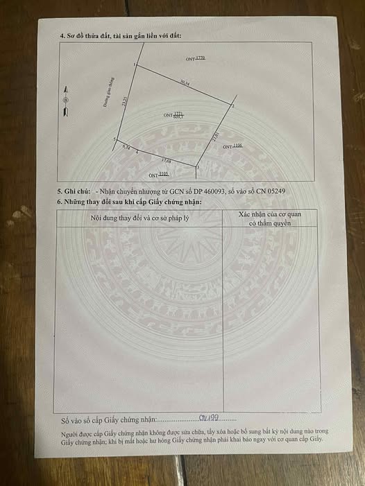 Đất thổ cư 600m² tại Triệu Thành, Triệu Sơn - Giá chỉ 700 triệu!