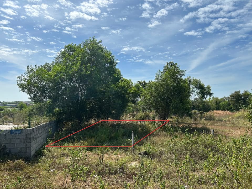 Đất nền mặt tiền đường Nguyễn Chí Thanh, La Gi 196m² - Phát triển kinh doanh du lịch!