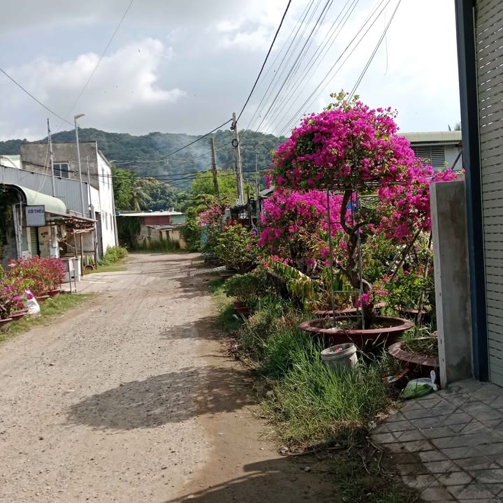 Đất thổ cư An Ngãi, Long Điền, Bà Rịa - Vũng Tàu 115m² - Sổ hồng chính chủ, xây dựng tự do!