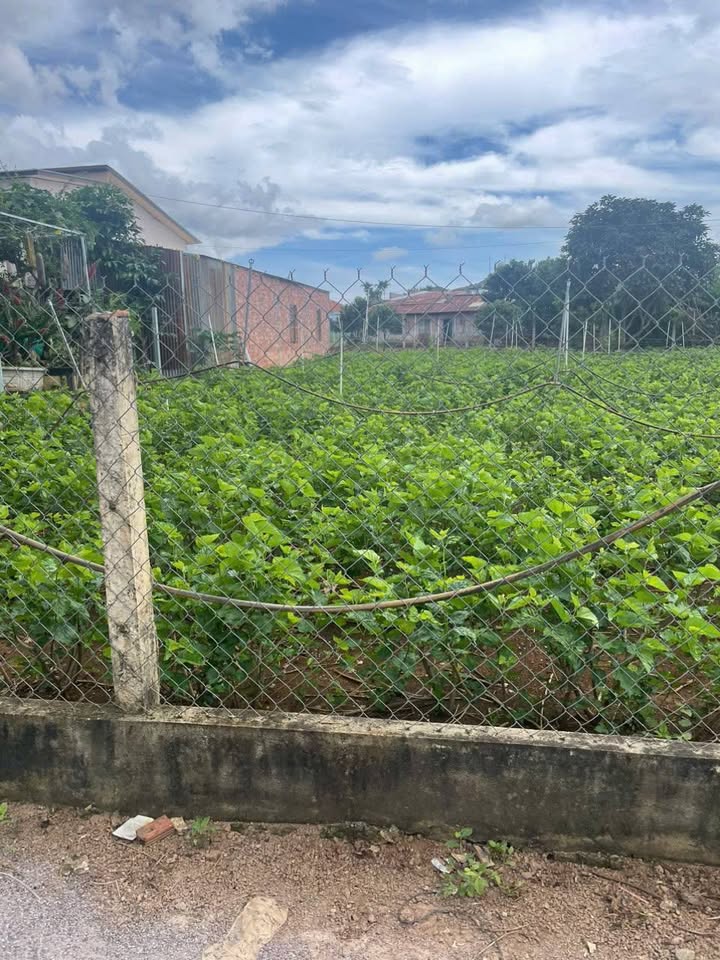 Đất nền Liên Hiệp, Đức Trọng 280m² giá thỏa thuận - Cơ hội đầu tư hấp dẫn!