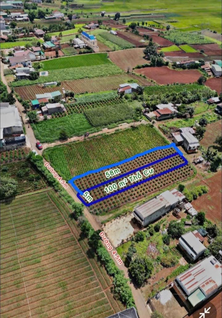 Lô đất 2 mặt tiền Liên Nghĩa 290m² giá 1.7 tỷ - Đầu tư sinh lời ngay!