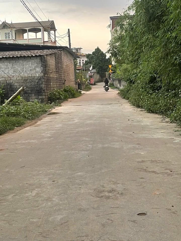 Đất nền Lương Phong Hiệp Hoà 100m² giá 700 triệu - Vị trí đẹp, tiện ích đầy đủ!