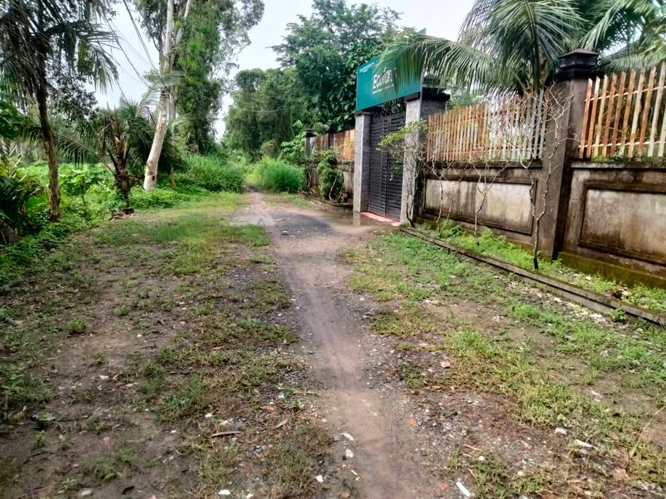 Đất vườn ấp 5, xã Bình Mỹ, Củ Chi 1000m² - Giá chỉ 4.5 tỷ, cơ hội đầu tư tuyệt vời!