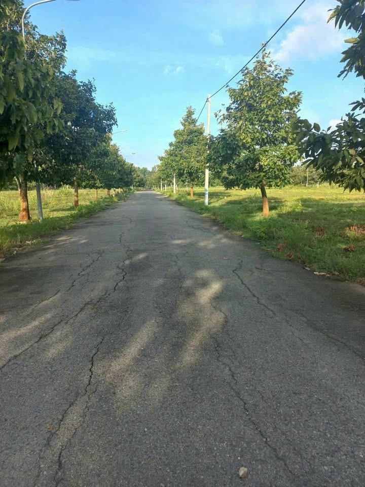 Đất nền liền kề Lan Anh 5 Bà Rịa 100.8m² giá 1.15 tỷ - Pháp lý đầy đủ, xây dựng ngay!