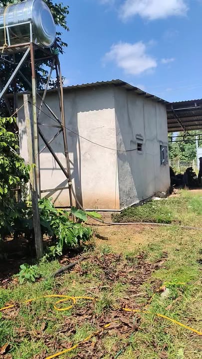 Bán lô đất nông nghiệp xã Ea M'Droh 1,5ha giá 5,4 tỷ - Đầu tư sầu riêng sinh lời cao!