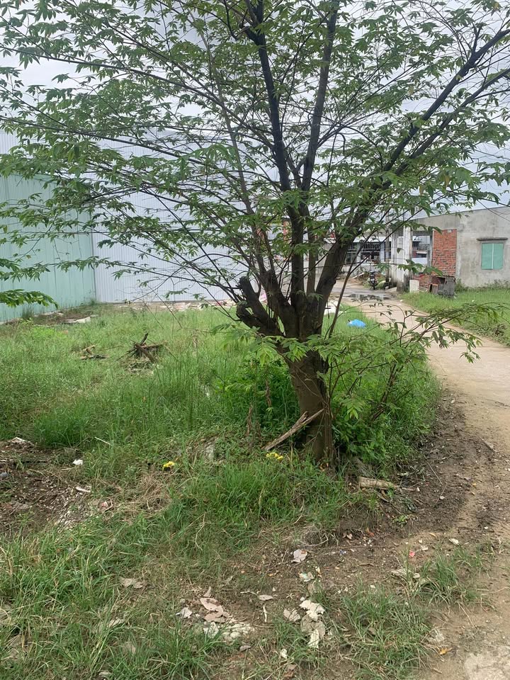 Đất nền Đà Nẵng tại đường Mai Đăng Chơn 106m² giá 1.9 tỷ - Cơ hội đầu tư hấp dẫn!