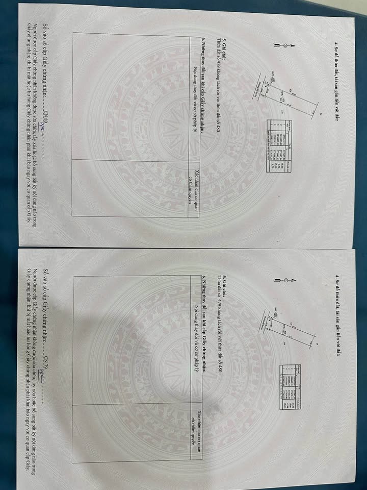 Đất nền Phan Dương Minh Châu 1050m² giá 1.8 tỷ - Vừa ở vừa làm vườn cây ăn trái!