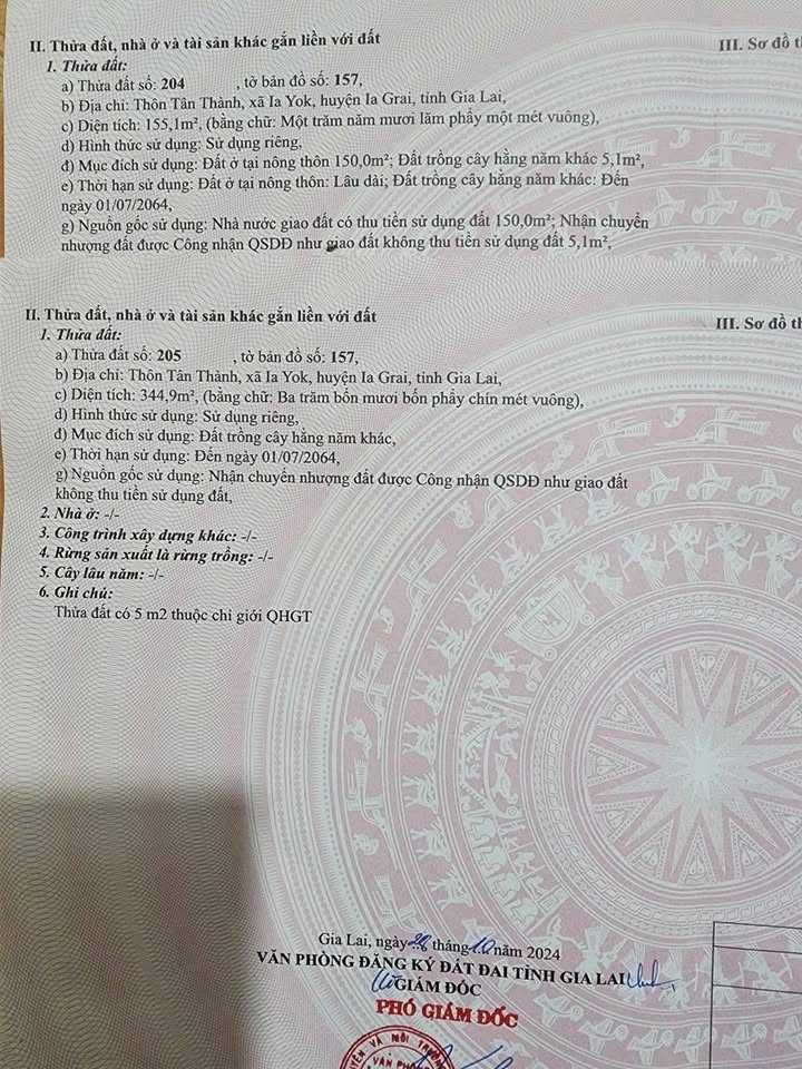 Đất liền kề 500m² tại Tân Thành, Ia Yok, Gia Lai - Bán gấp!