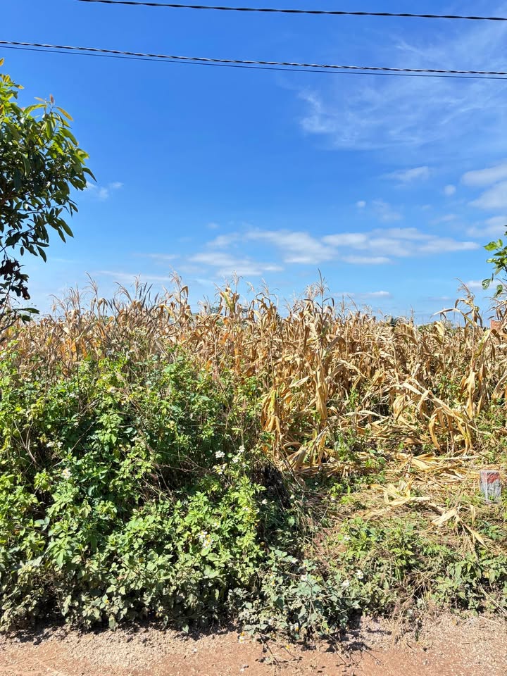 Đất thổ cư Hẻm 125 Hà Huy Tập 180m² giá 600 triệu - Vị trí an ninh, gần trường học!