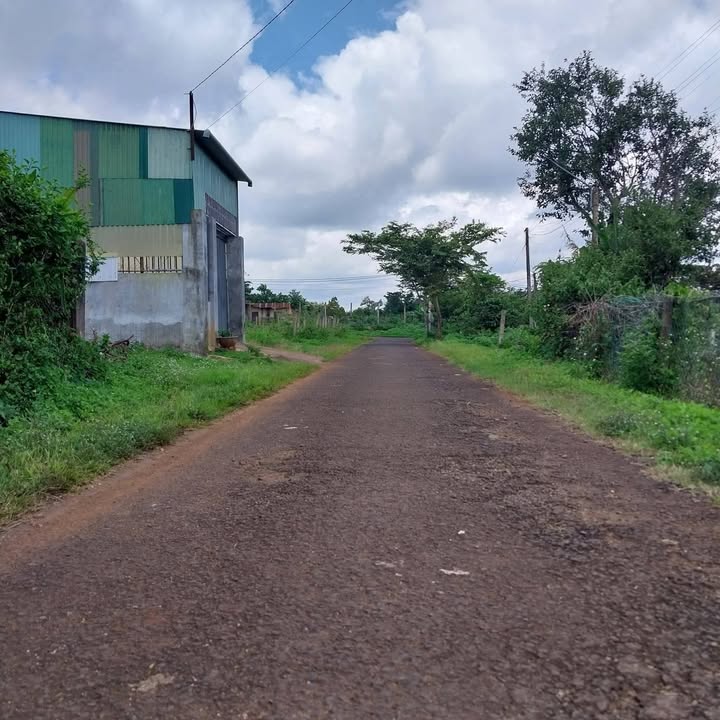 Đất nền Biển Hồ Pleiku 165m² giá 650 triệu - Sổ đỏ chính chủ, đường nhựa rộng rãi