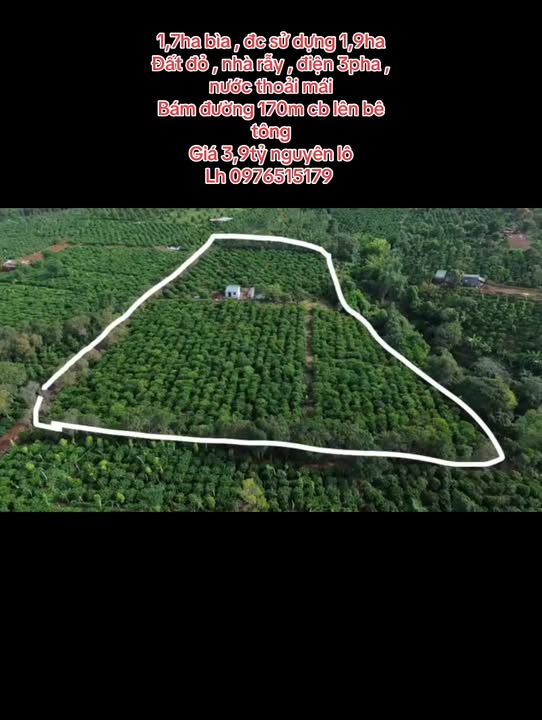 Lô đất Farm 1,9ha tại Chư Prông, Gia Lai - Giá chỉ 3,9 tỷ, thuận lợi đầu tư!
