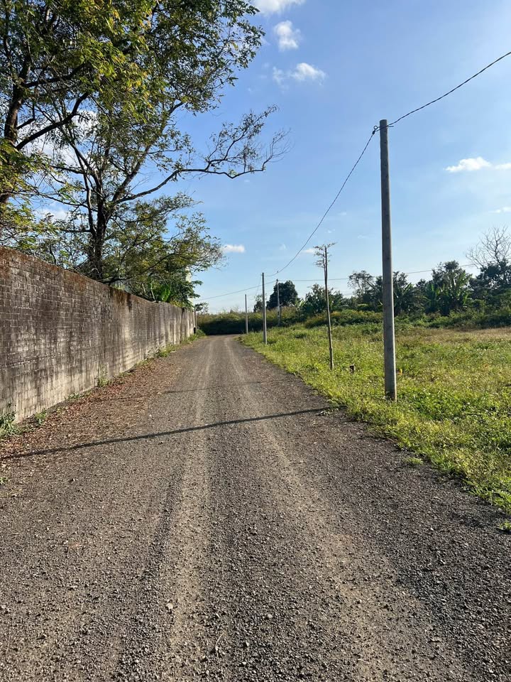 Đất nền chính Lý Chính Thắng, P. Hội Phú, Gia Lai 120m² giá 500 triệu - Đầu tư sinh lời ngay!