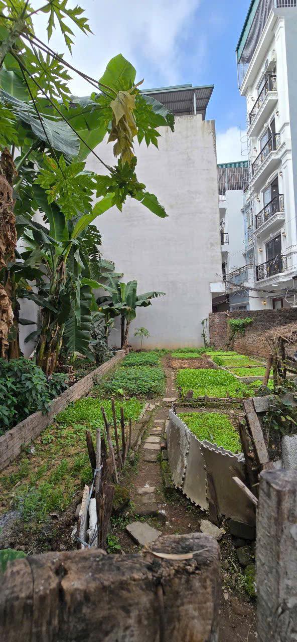 Đất nền Vĩnh Quỳnh - 50m² chỉ 660 triệu - Sổ đỏ chính chủ!