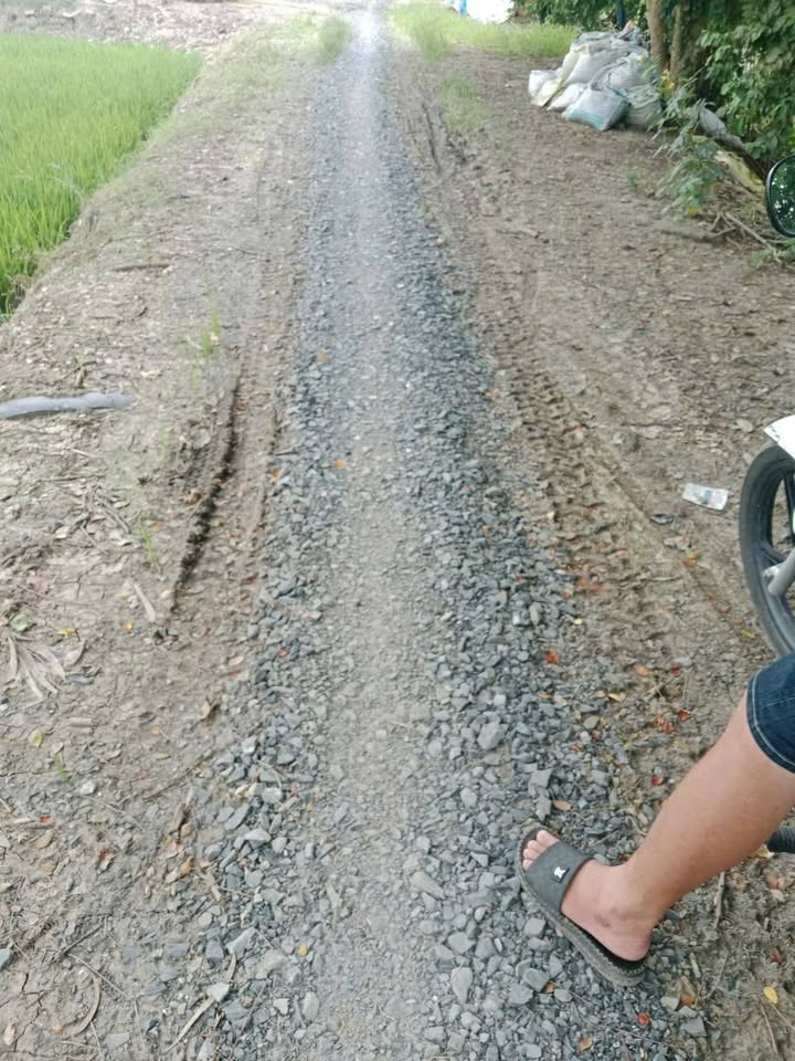 Đất nền Vĩnh Trạch, Thoại Sơn 19 công giá từ 200 triệu - Đầu tư sinh lời ngay!