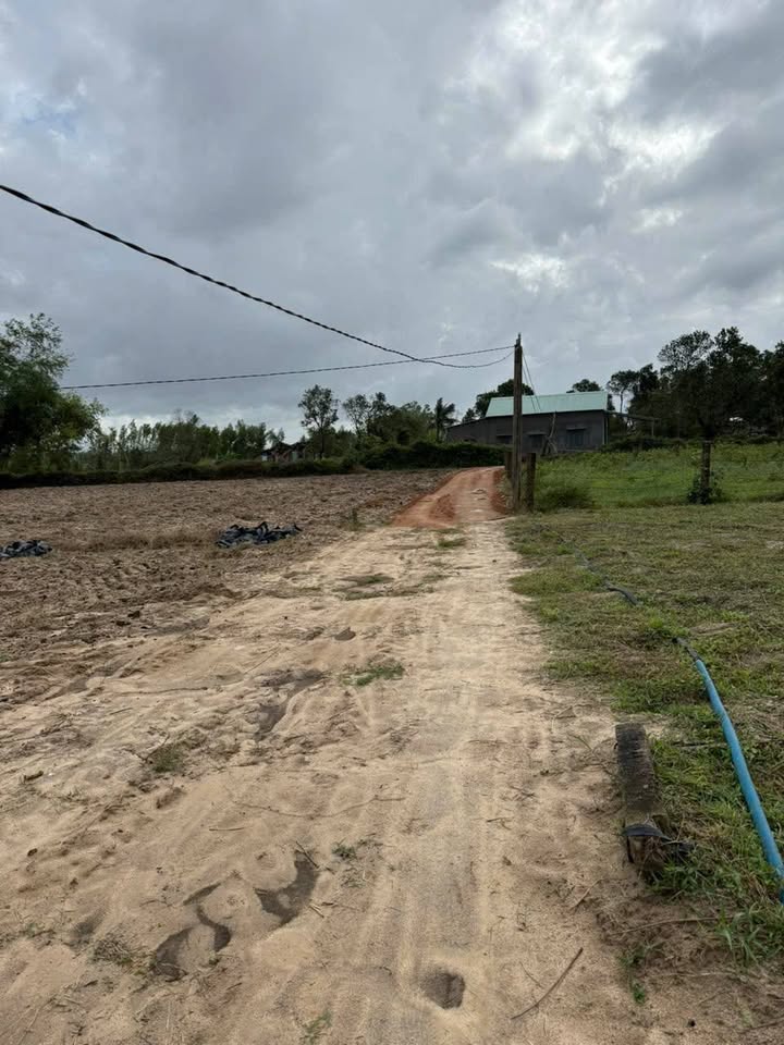 Đất nền 1000m² Thôn Hòa Mỹ, Bình Định giá chỉ 300 triệu - Cơ hội đầu tư hấp dẫn!