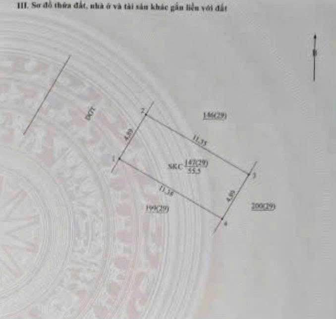 Đất dịch vụ Tân Tây Đô Đan Phượng 55,5m² - Giá tốt, thương lượng ngay!
